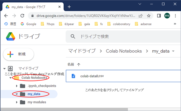 MyDrive/my_data フォルダ