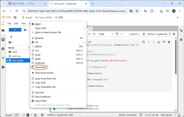 DOK ノートブック  test1.ipynb ファイル保存